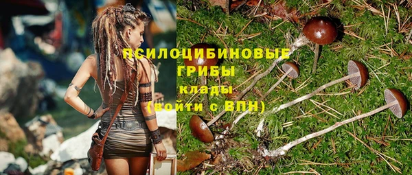 стафф Новокубанск