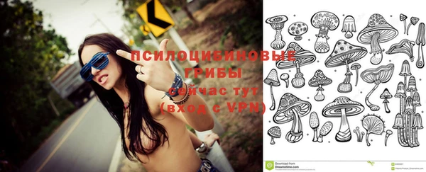 дживик Лагань