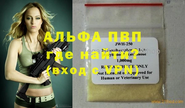 сатива Лабытнанги